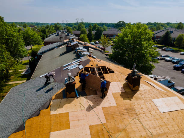 Quick and Trustworthy Emergency Roof Repair Services in Crawfordville, FL